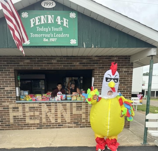 Vendor photo (inflatable chicken) 540 Inflatable chicken photo