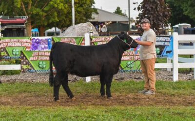 Beef Department