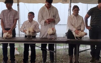Poultry Department