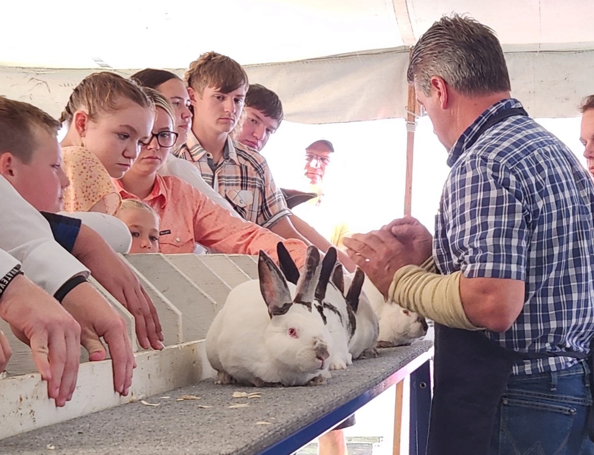 Kids showing rabbits