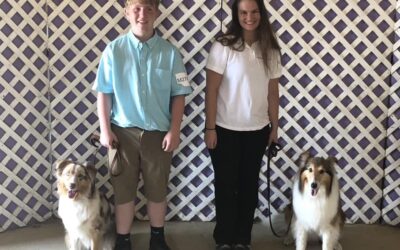 Dog Department