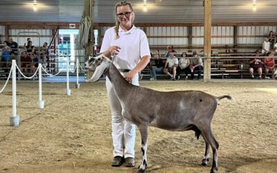 Goat Department