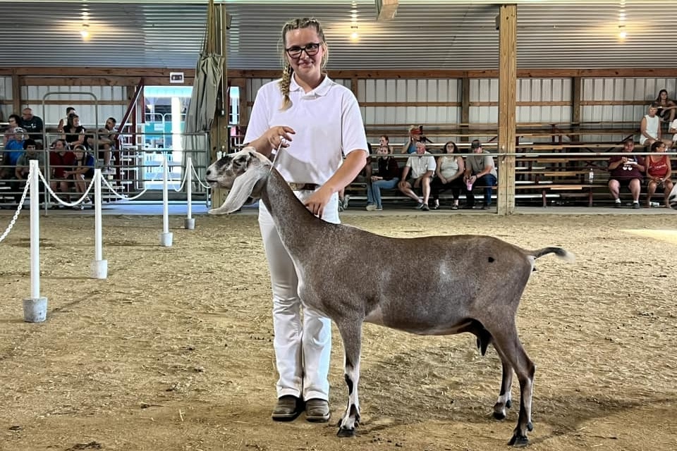 Girl and gray goat