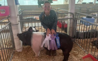 Swine Department