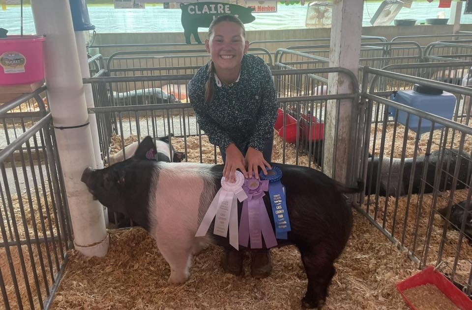 Girl with her pig and ribbons