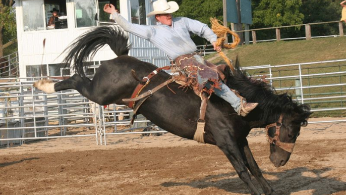 Rodeo
